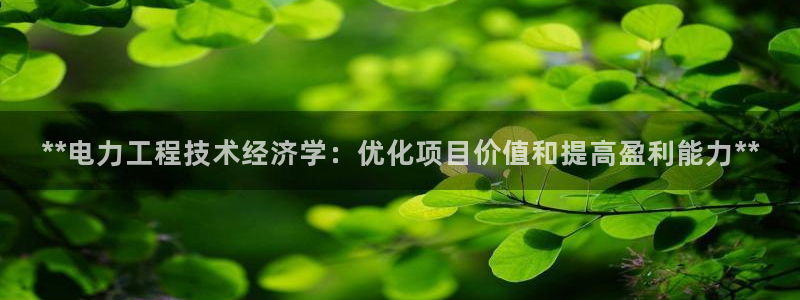 凯发k8娱乐官网网址中心：**电力工程技术经济学：